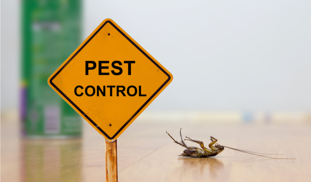 Common Pests in Restaurants | Unitech Pest Control