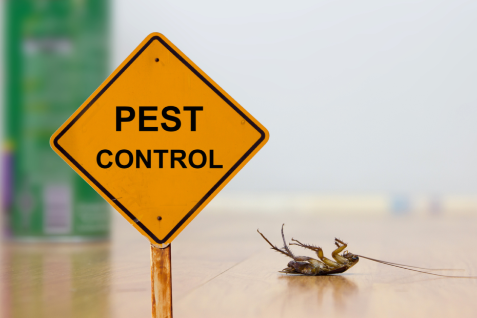 CHOOSING THE BEST PEST CONTROL COMPANY IN ST. LOUIS | Unitech Pest Control