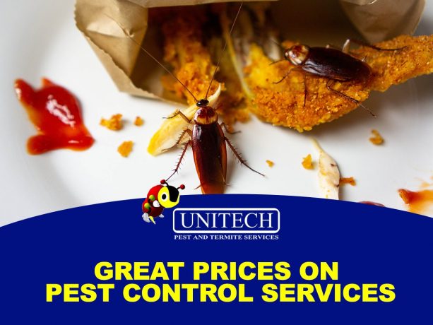 Great Prices on Pest Control Services