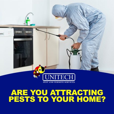 pest-control-expert-inspecting-home-in-st-charles